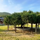 영산정사 성보박물관 이미지