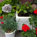 영광상사 이미지