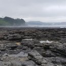 소금빌레 이미지