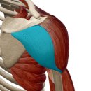 BODY MAKER 이미지