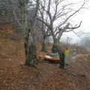 주천면 내송마을 이미지