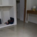분당프라자 이미지