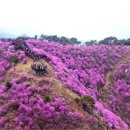 일원본-105 이미지