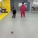 국가대표불무태권도 이미지