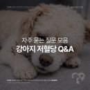 심동물병원 이미지