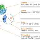 오름식품 이미지