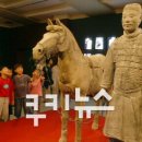 진시황 - 담양군 추성로 1340 | 진시황