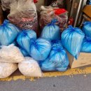 꽃무지어린이집 이미지