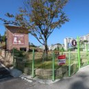 애견클럽 이미지