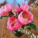 눈소5길 이미지