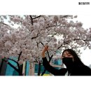 예술회관사거리 이미지