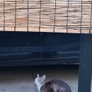 수풀하우스 | 양양 독채펜션 수풀하우스 친구들과 힐링여행 후기