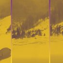 Little Bear Big Trip 이미지