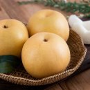 여주-0613 이미지