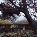 설화사슴목장 이미지