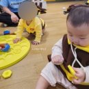 푸드오감 | [육아/체험] 판교현대백화점 오감올리(6~10개월/제니T) 가을학기 후기🤗