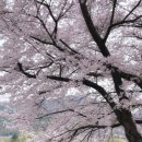 예술공원 주차장 공중화장실 이미지