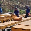 계상농장 이미지