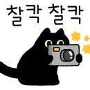 수니떡집 네이버블로그