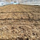 도마1리 이미지