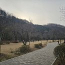 구갈레스피아(어린이놀이터) 이미지