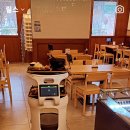 삼백돈돈가츠 이미지