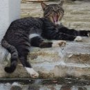 양품정원
