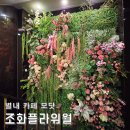 삼청나무병원앤조경 | 플라워월 조화 인테리어 별내 카페 모닷 시선을 압도하는 조경