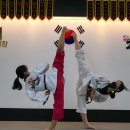 가양금메달태권스쿨 이미지