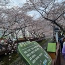 GS25 용전로망스점 | 진해군항제 벚꽃축제 여좌천 로망스다리 (진해군항제 먹거리, 주차, 숙소 꿀팁)