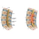 베스트경희한의원 이미지
