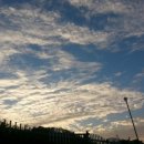 진짜진짜만화방 이미지