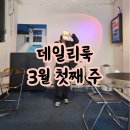 데일리룩 3월 첫째 주 (몽돌, 포니테일, 레이지지, 슬로우앤드 내돈내산)