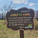 가사3교 - 정선군 | 가사3교