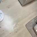 장유동물병원 | 김해 장유 24시 고양이 강아지 동물병원 추천 르엘동물의료센터