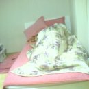 낙성대역 1번출구 이미지