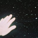 몽고반점 이미지