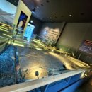 진주익룡발자국전시관 이미지