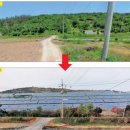 숲 태양광발전소 이미지