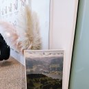 미더베스트 부천점 이미지