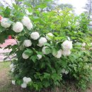 원주종합운동장 이미지