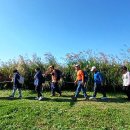 하늘공원 이미지