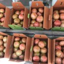 수연농장 이미지