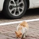 천둥공인중개사사무소 이미지