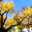 김해의 만추 이미지