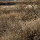 중앙산소 이미지