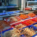 매천 | 대구 홍게 구매 후기 매천 수산시장 중앙수산