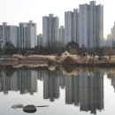 한강신도시호수공원 이미지
