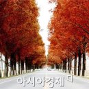 곡성-245 이미지