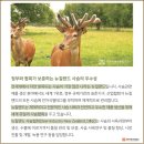 (주)대한녹용수출입법인 이미지